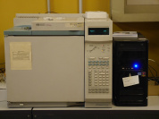 Gas chromatograph with FID_TCD detector
